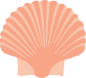 PinkSeashell